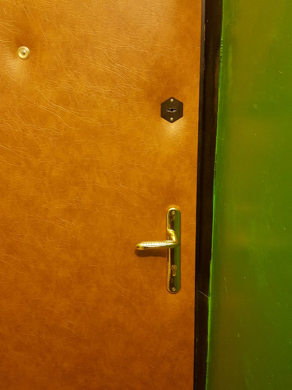 Кожа дверная рыжая 47